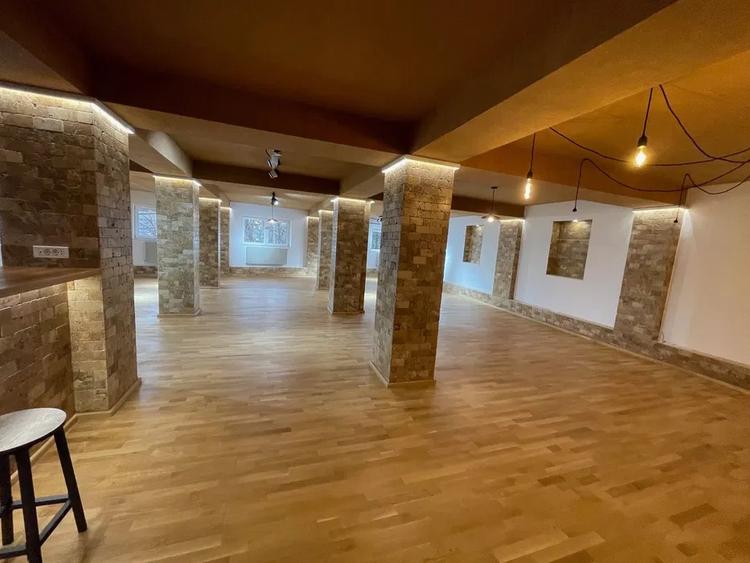 Spatiu birou, activitati artistice - zona Razoare- P-ta Danny Huwe