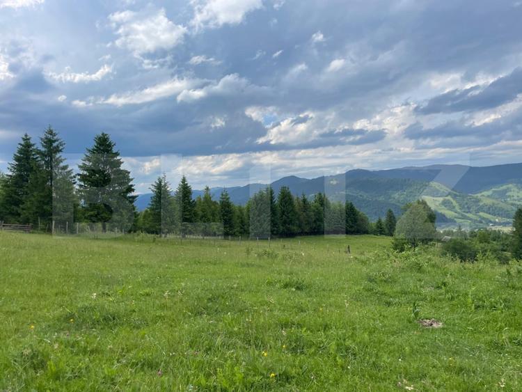 Teren extravilan de vanzare, 2 ha - Campulung Moldovenesc, zona Sandru