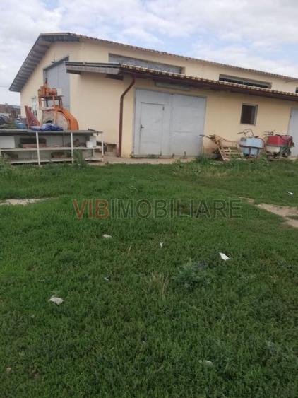 Ferma Zootehnică– Satchinez,  | 9,5 ha teren,vanzare sau schimb pentru jumatate