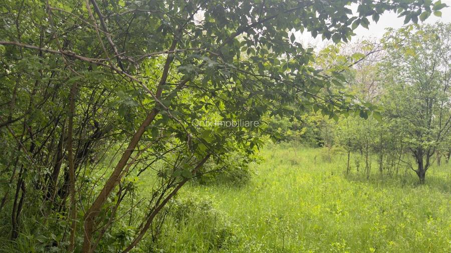 Teren Intravilan de Vânzare Cornu, Prahova | 50 €/mp - 2
