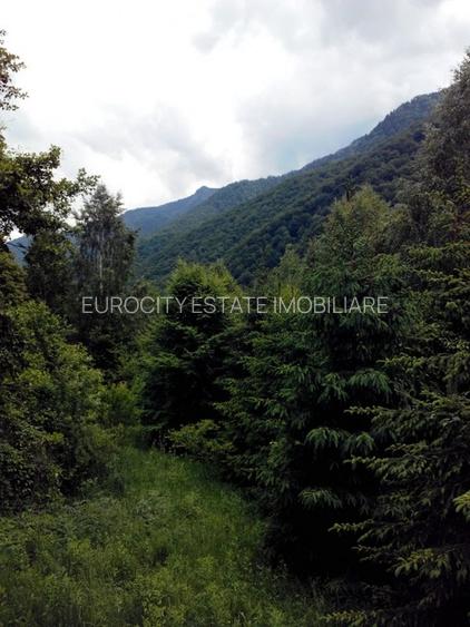 Proprietate rară în inima Retezatului – 5.700 mp teren intravilan - 13