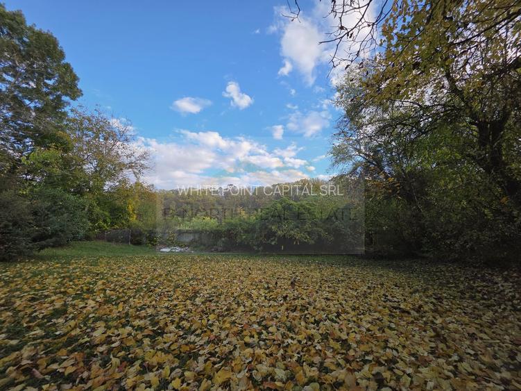 Reședință exclusivistă cu deschidere la Lacul Scroviștea - 21