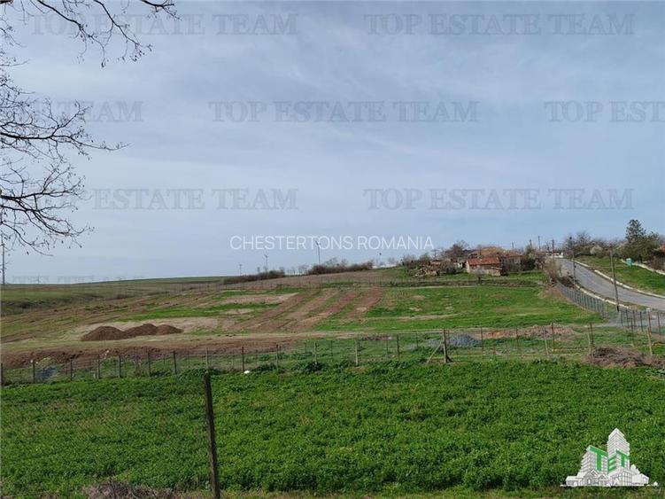 Teren intravilan 5.600 mp în Pantelimon, Constanta ideal investitie sau construc