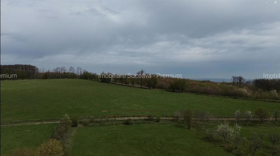 Teren intravilan de vânzare în Mitocu Dragomirnei | 5.800 mp | 43 m de - 9