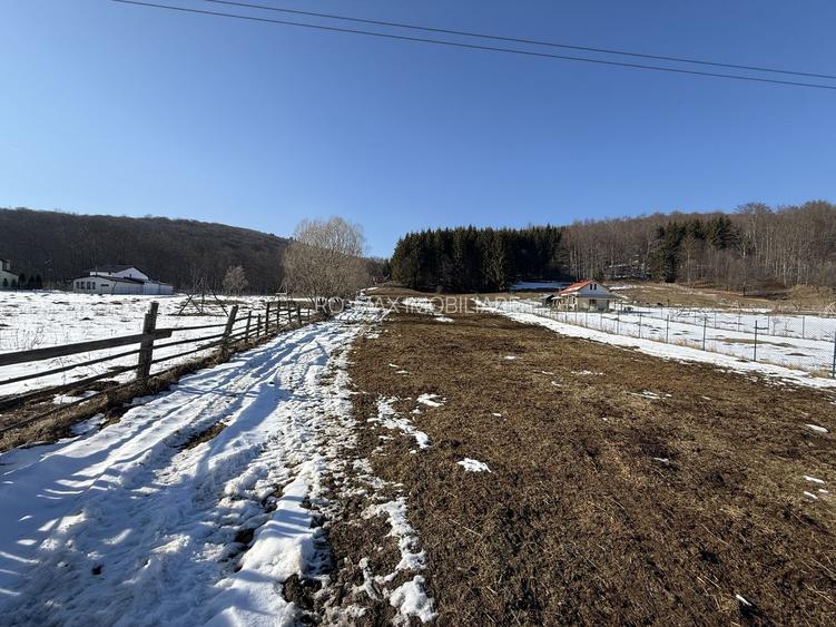 Teren intravilan 4521mp lângă pădure-valea Doftanei -Calea Brasovului - 11