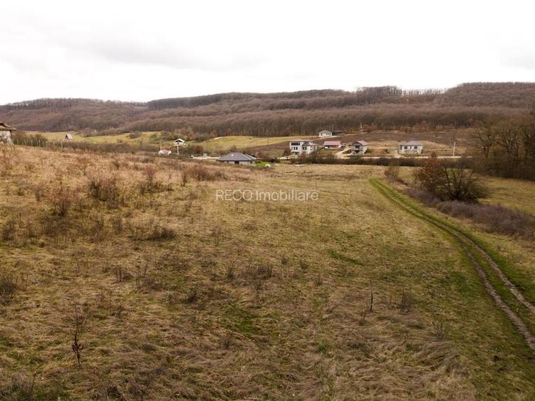 RECO teren intravilan Betfia – ideal pentru casa sau investitie - 7