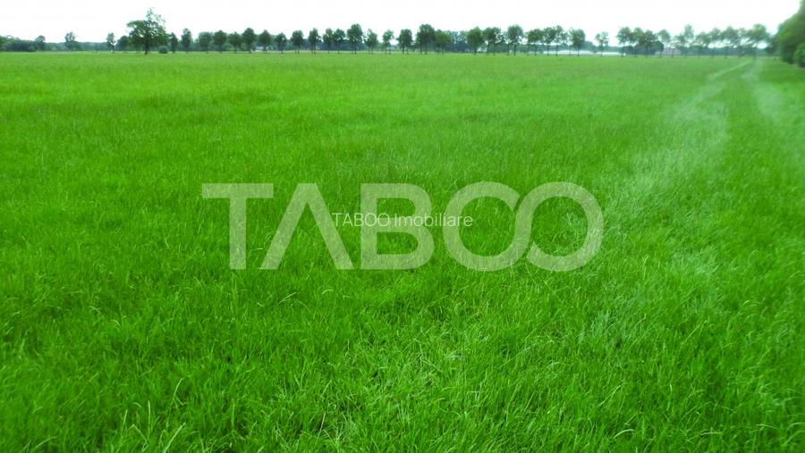 Teren intravilan deschidere 35 ml 7000mp in zona Industrial Vest Sibiu - 2