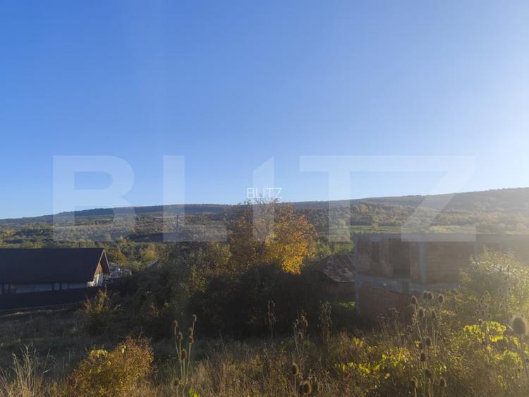 Teren intravilan 500 mp, la asfalt,  in Goruni-Tomesti - 2