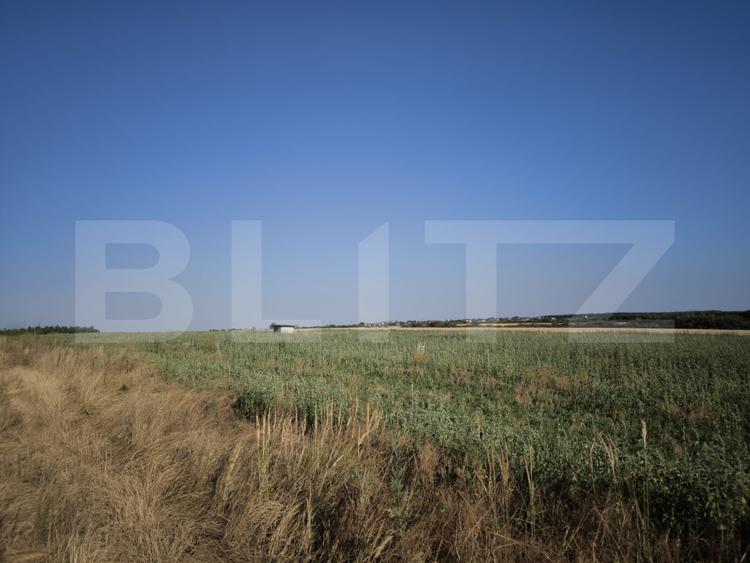 Teren 30.350 mp (600 mp intravilan) – ideal investiție, Cârcea Metro