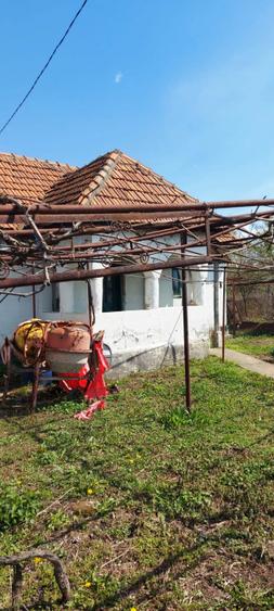 Casă cu hală industrială Drăguțești