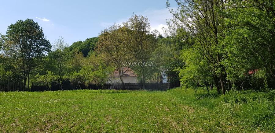 Proprietate unică chiar lângă Mănăstirea Govora - 9