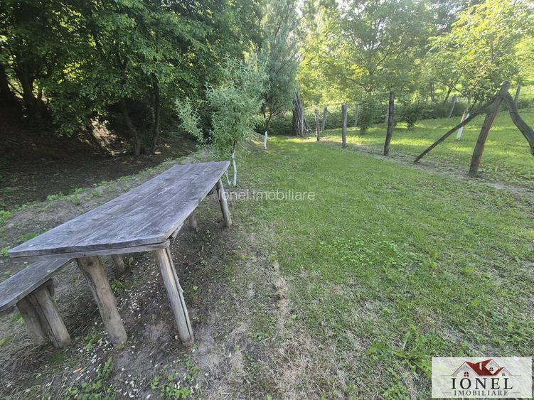 Teren intravilan (2292mp) de vanzare in Vintu de Jos - 5