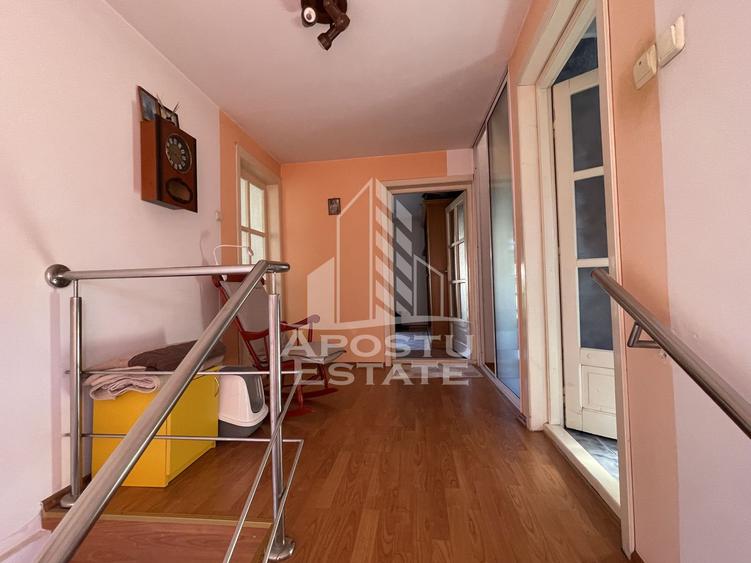 Casa Freidorf Timisoara