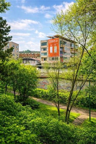Apartament 2 camere,luminos,incadrat de liniste si verdele naturii,Ultracentral,