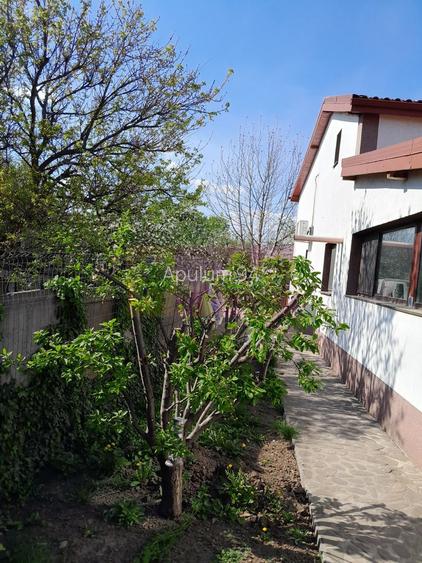 DE VANARE CASA P+M 5 CAM  GIURGIU - 25