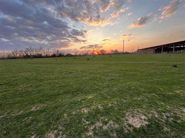 Bocsa Romana, 2 terenuri intravilan, 10.000 Mp.(59.900 Euro) si arabil, 80.000 M