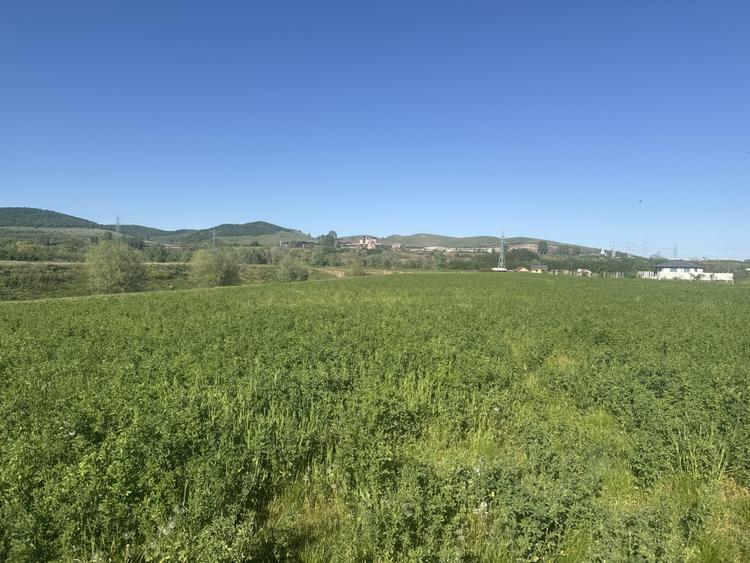 Teren intravilan de vânzare | 5800 MP – Zona Orizont