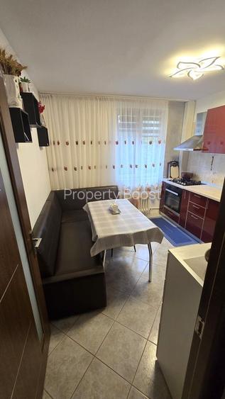 Apartament 2 camere gata de mutare Valea Oltului, Drumul Taberei - 16