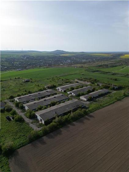 Ferma de vanzare in localitatea Bestepe