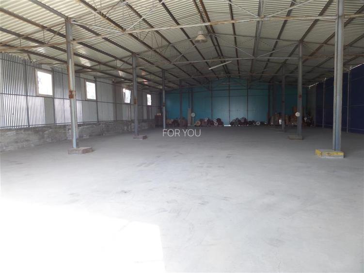 Hala Productie / Depozitare 600 mp + Teren 1000 mp – Magura (Farbe), Bacau – Acc - 4