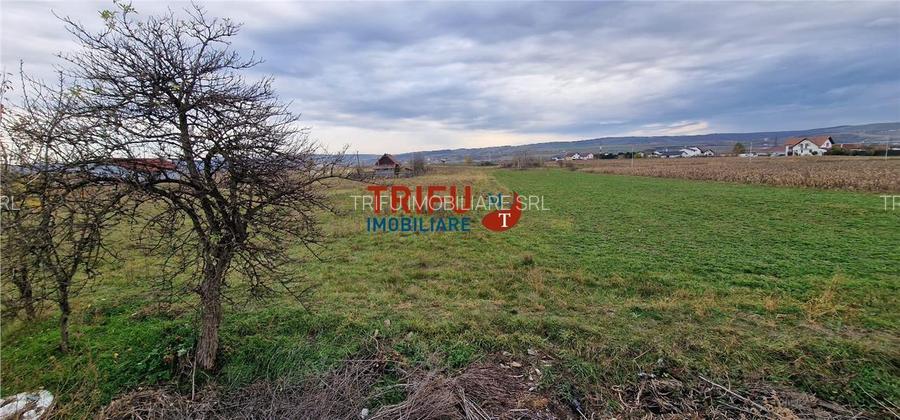 Teren 2160mp în  Partoș - 11