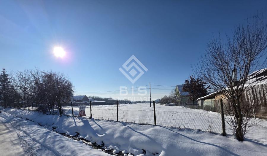 Teren cu suprafata 5300 mp intravilan