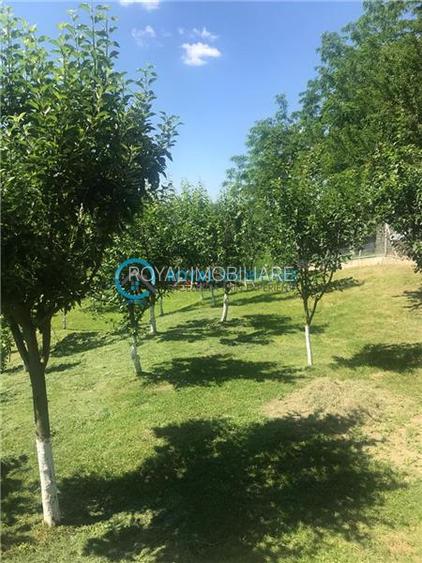 Royal Imobiliare- Vanzare Casa de Vacanta Teisani - 8