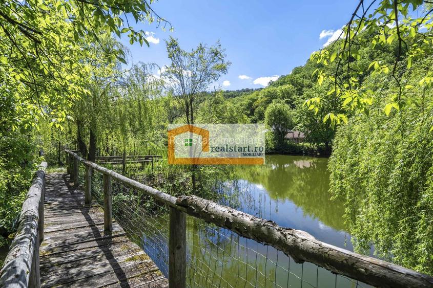 Oportunitate, Restaurant cu MiniPensiune 800mp, 1,8ha teren, Via Transilvanica - 60