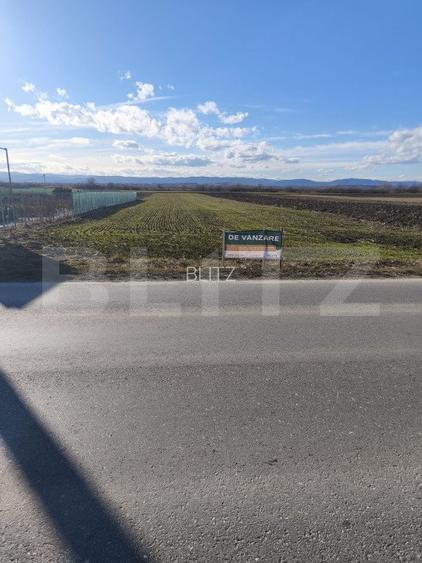 Teren intravilan ,4900 mp , 25ml front, Fratautii Vechi, Radauti - 2