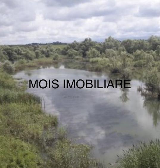 VAND TEREN CU LACURI LA AVRIG