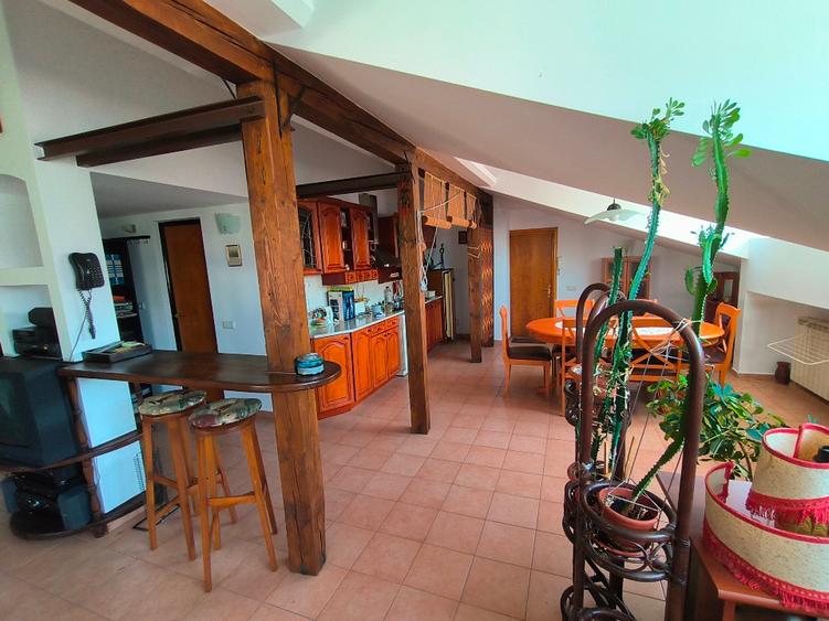 Vila tip Duplex/ Jumătate de vila individuala cu spatiu generos