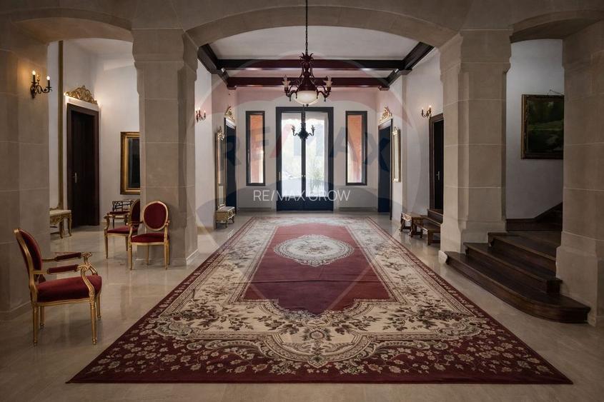 Palatul Stirbei - Darmanesti - 5