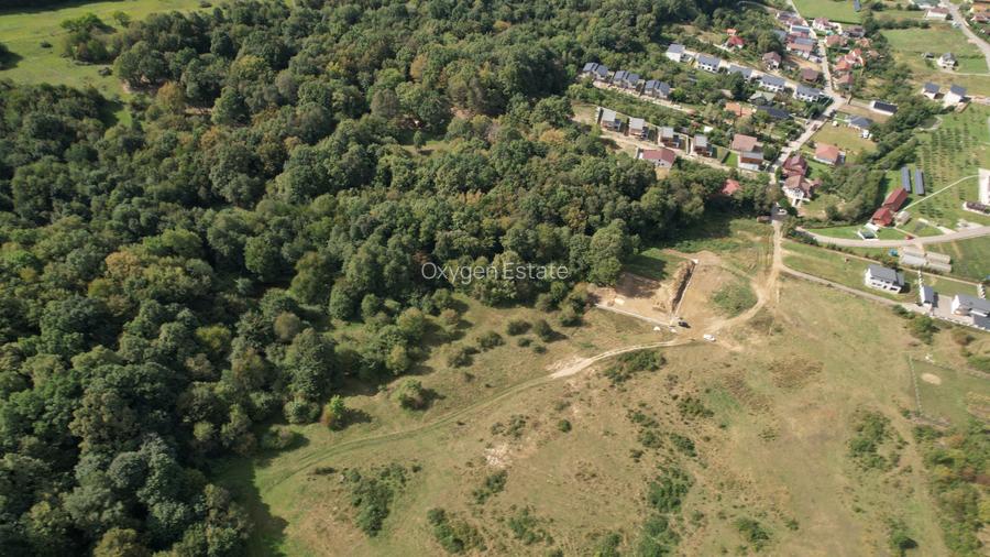 Teren intravilan constructii 1 ha, zona exclusivista, Meses/Bradet/Episcopie - 10