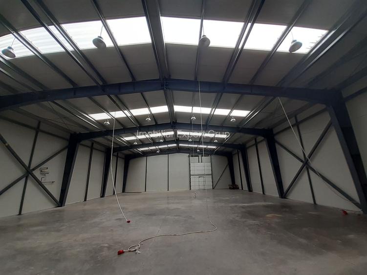 Hale de 500mp si 600mp in zona Progresul, Jilava - 4