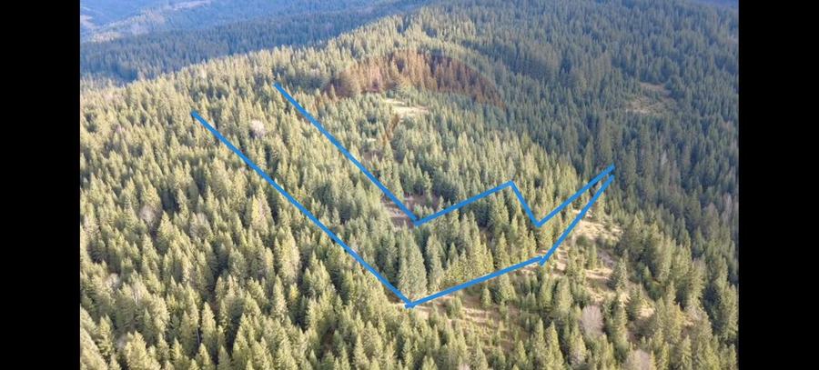 Teren 17,895mp Dorna-Arini / Prelungirea Cozănești
