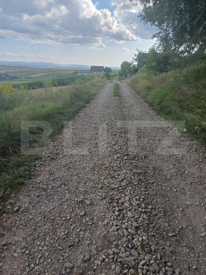 Teren de vânzare, intravilan, 20 ari, Moara Nica