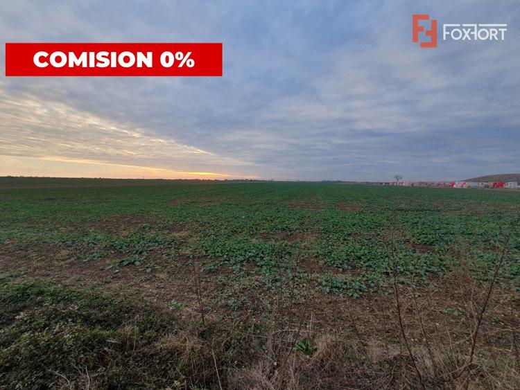Comision 0% Teren extravilan agricol 21,32 ha sau intravilan cu PUZ aprobat