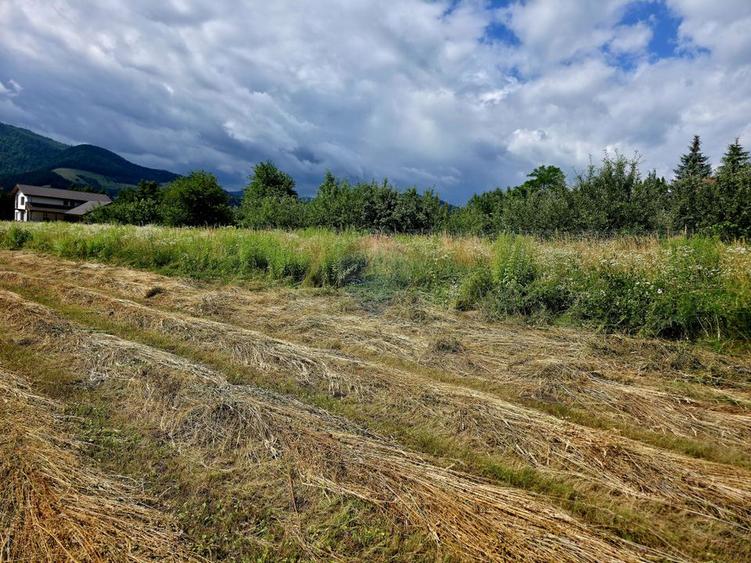 Teren 600mp Viisoara / Strada Primaverii
