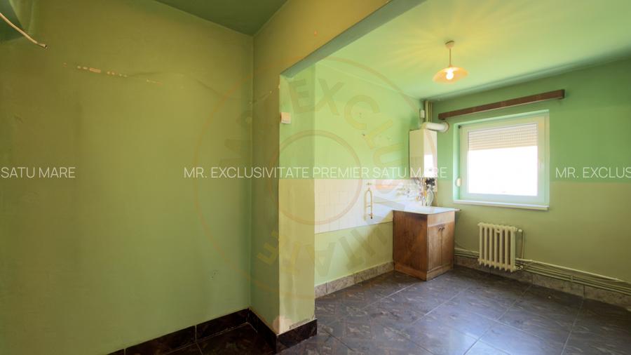 Apartament 2 camere Etaj III / Str. Eliberării 17 -Carei- Comision 0% cumpărător - 10