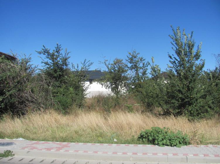 Prelungirea Ghencea, Safirului, Stradal