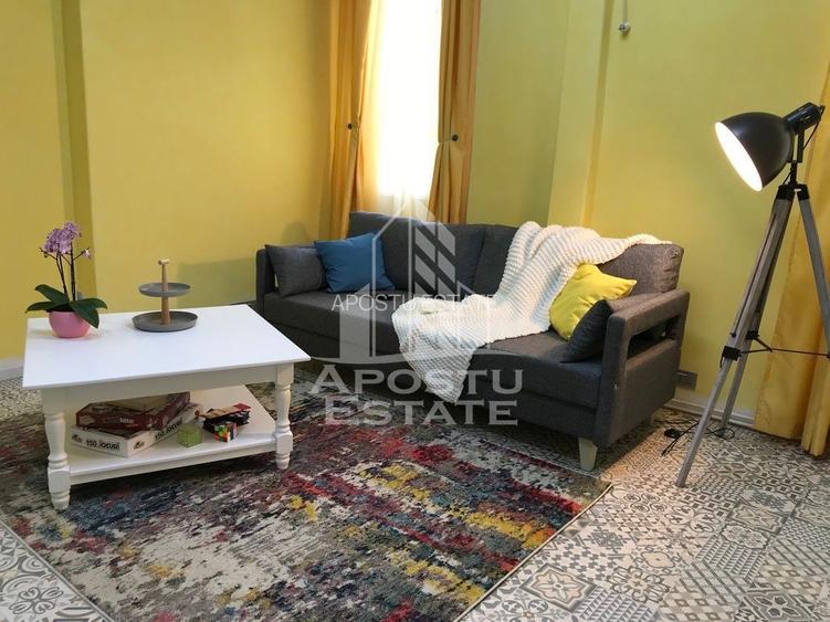 Apartament ultracentral, complet renovat in Timisoara - 8