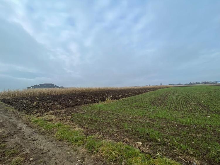 TEREN EXTRAVILAN 13 ARI | FRONT STRADAL 13 M | MARGINEA