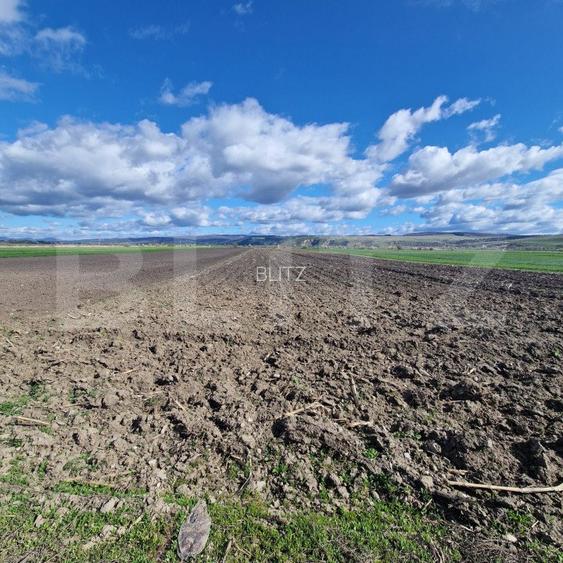 Teren Extravilan 15000 mp- parcelat in 3 loturi Bod- 5000 mp fiecare parcela - 5