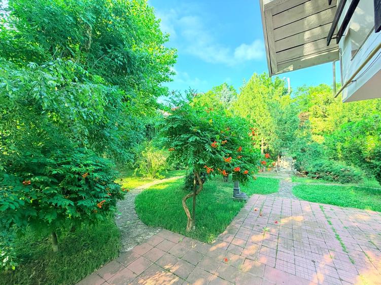 Casă individuală în Bucium - Hanul Dacilor, 342 mp, 1.140 mp teren