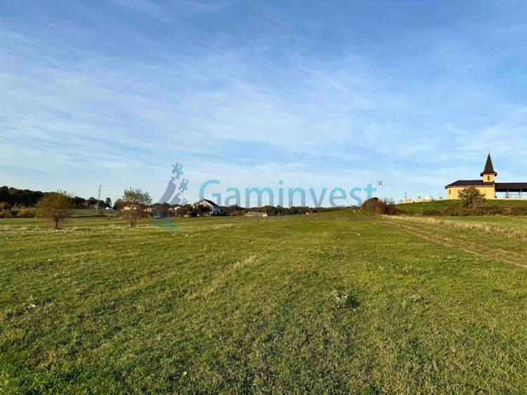 Teren de vanzare in Betfia, 5487 mp intravilan, Bihor