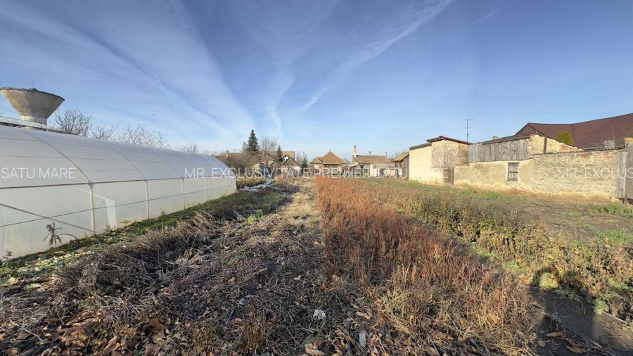 Casă 4 camere cu Teren 2.974 mp | Rezidență sau afacere | Carei - 13