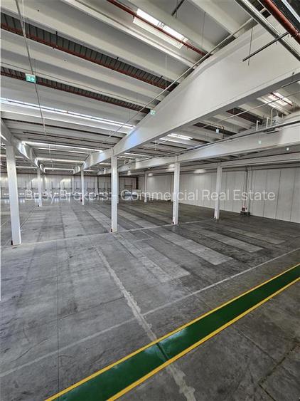 Spatii Industriale - 10000 mp - Logistica - Productie - Depozitare - Distributie - 23