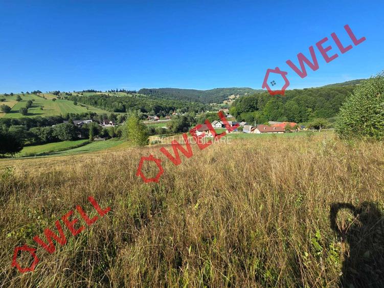 De vânzare teren extravilan în Întorsura Buzăului, Brădet! - 9