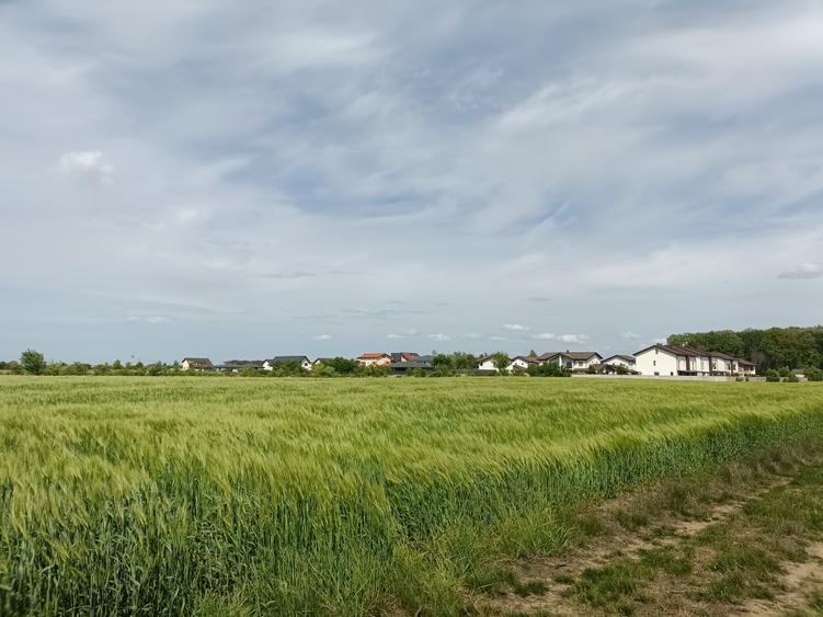 Teren lotizat, 8236 mp, preț minimal, Corbeanca
