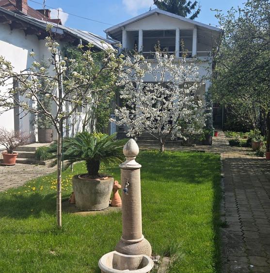 Casă Renovată cu Grădină | 227 mp | 3 Terase | 3 Dormitoare | Milcov